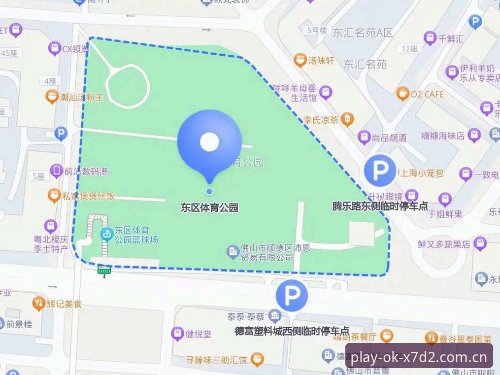 OK体育平台安卓版评测完整指南：从下载到实战的操作手册